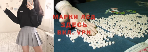 шишки Баксан