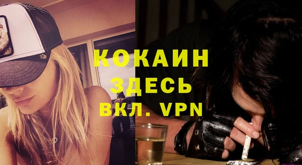 шишки Баксан
