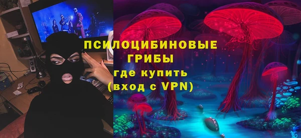 шишки Баксан