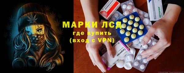 шишки Баксан